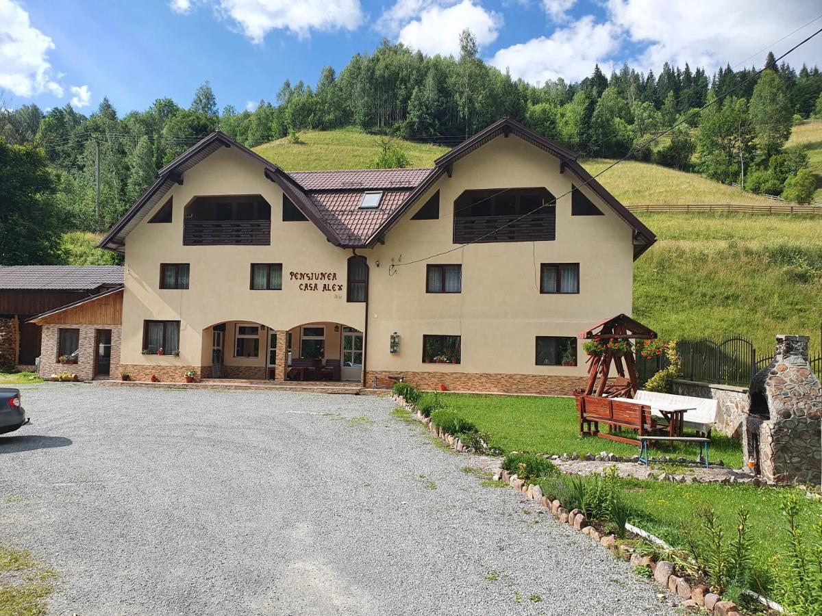 Pensiune Agroturistica Casa Alex Baba Exterior foto